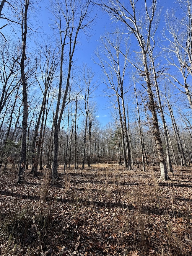 0 Deerwood Dr unit RTC3060905, Sewanee, TN 37375 - photo 6