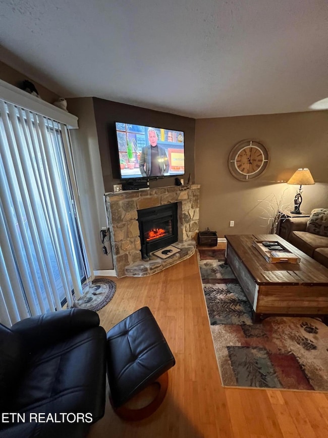 1102 Ski View Dr unit 206, Gatlinburg, TN 37738 - photo 7