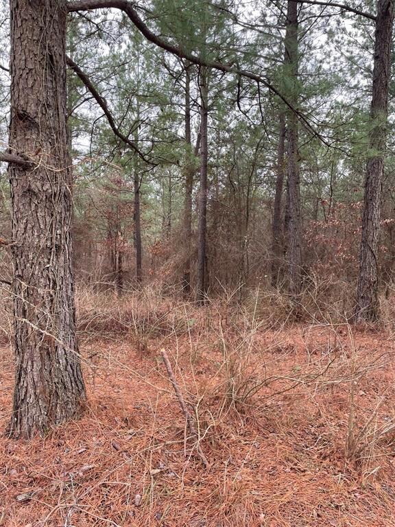 700 Timber Creek Trails South XI, Broken Bow, OK 74728 - photo 3