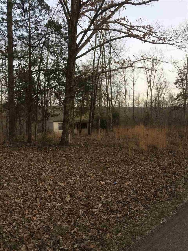 00 Hurricane Creek Rd, Linden, TN 37096 - photo 5