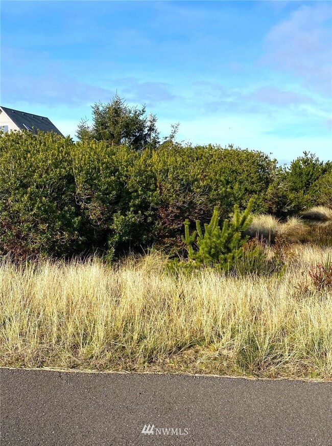 438 S Bel Air Loop SW, Ocean Shores, WA 98569 - photo 3