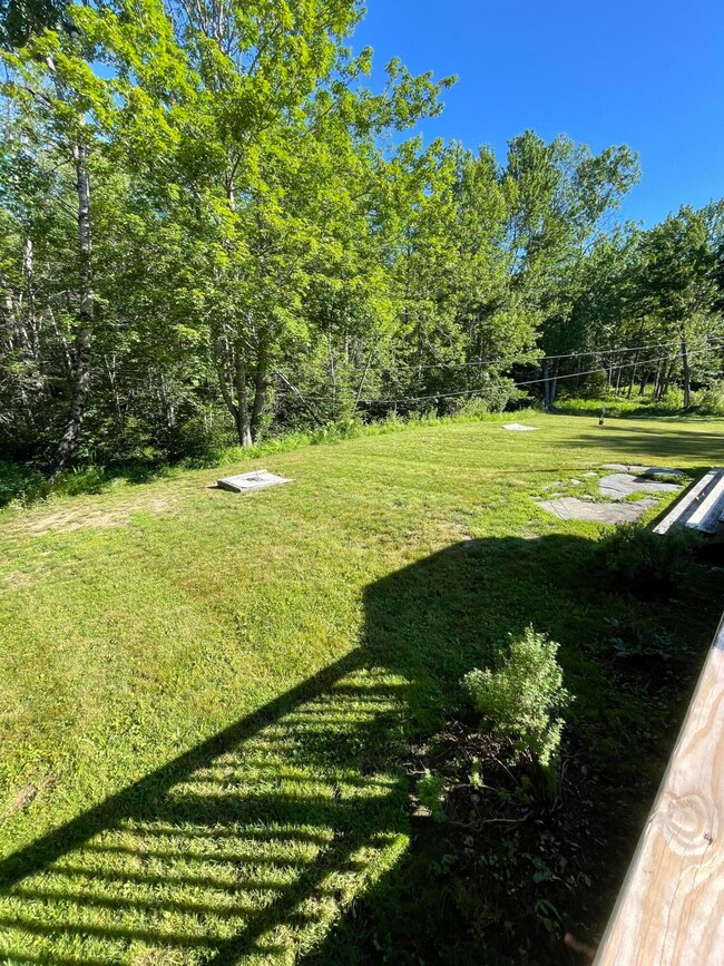 Nice Back Yard