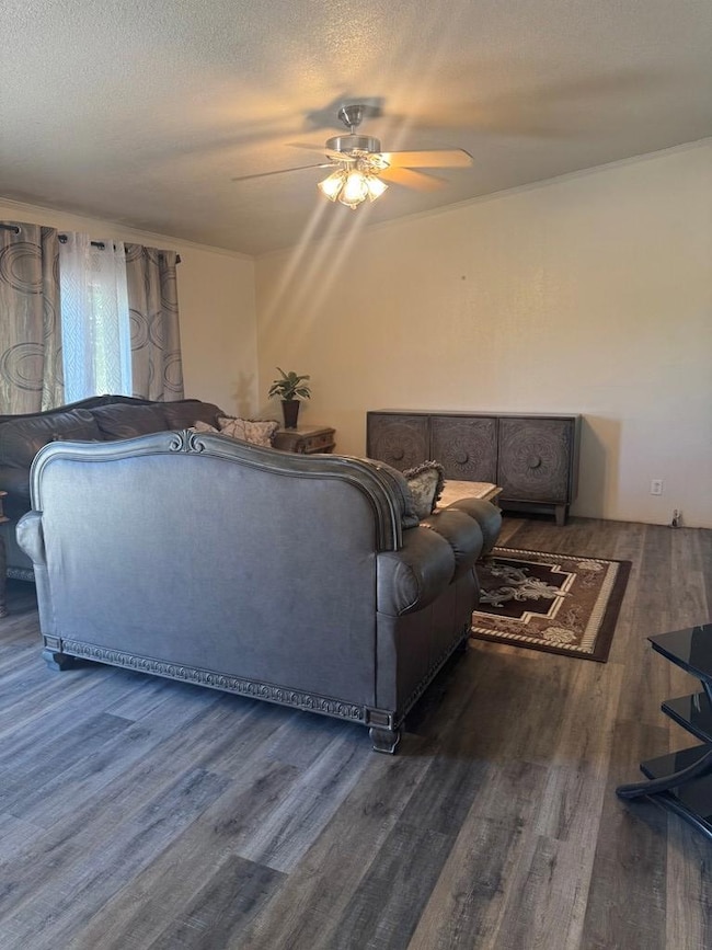 913 Ted St, Alpine, TX 79830 - photo 4