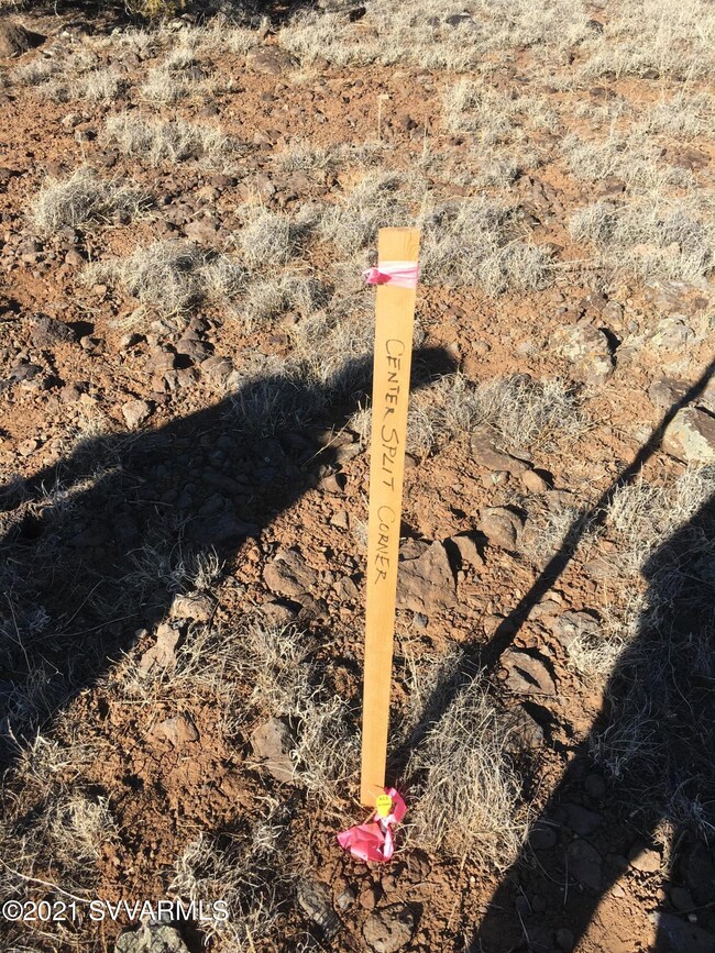 Surveyed and Staked