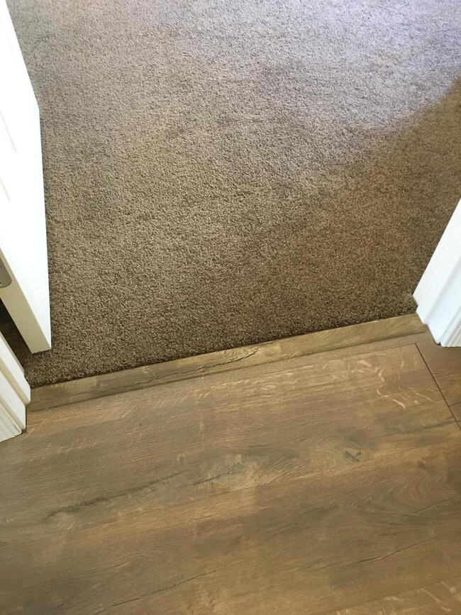 Floor to carpet transition