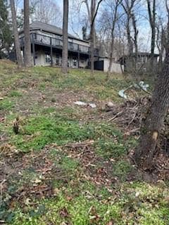 174 Kenilworth Rd, Asheville, NC 28803 - photo 3