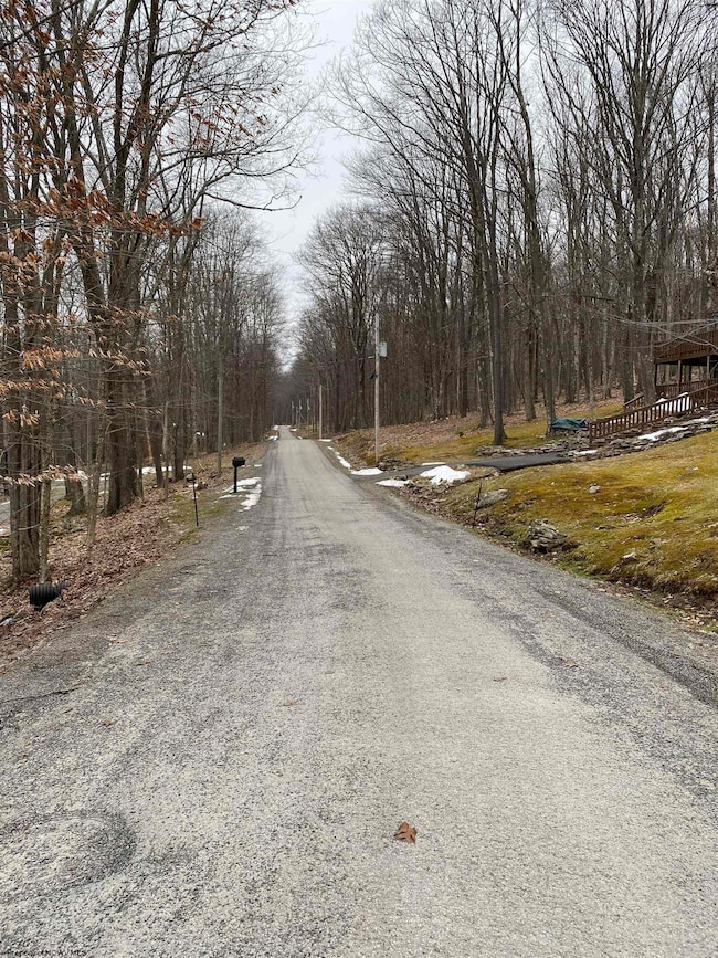 TBD Pond Lily Ln, Terra Alta, WV 26764 - photo 2