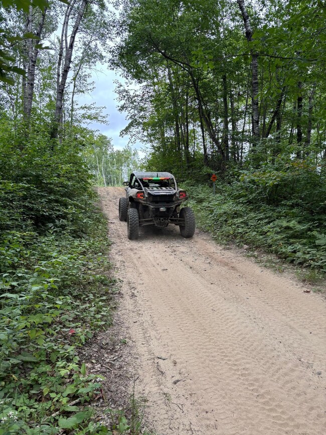 TBD Andrus Lake Trail NE, Crooked Lake Township, MN 56662 - photo 7