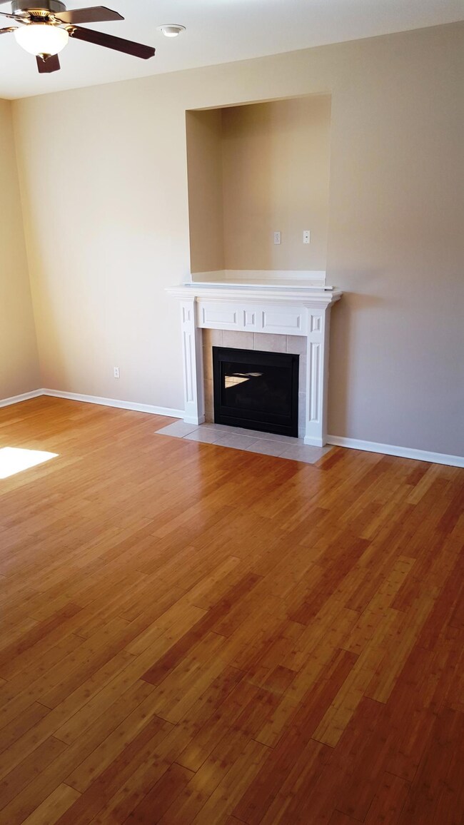 Living Room Fireplace