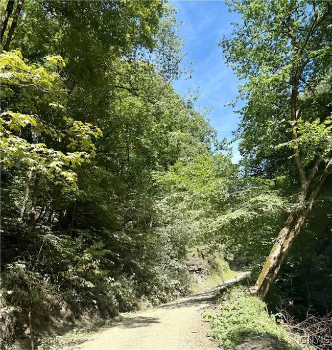 1792 Steve Russell Hill Rd, Freetown, NY 13803 - photo 4