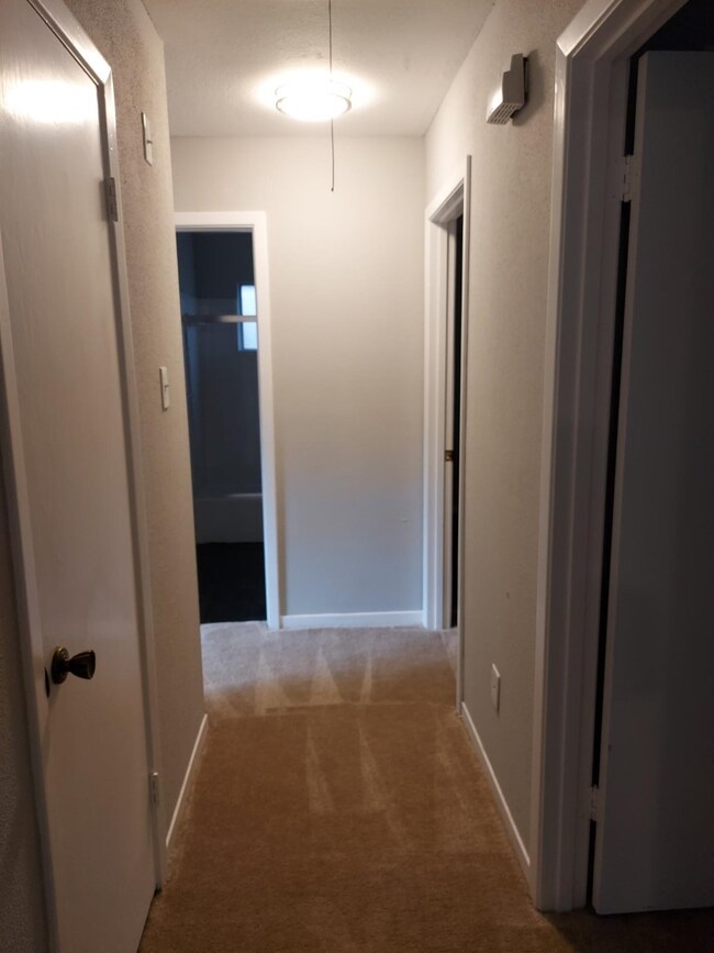 8602 Twisting Vine Ln, Houston, TX 77040 - photo 6