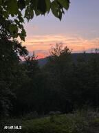 blue knob
