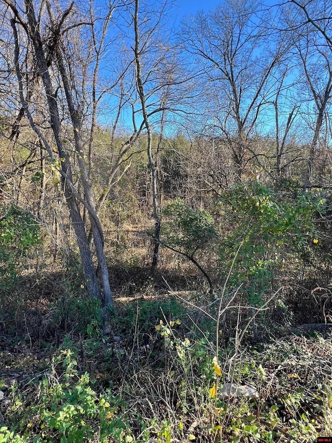 001-08378-001 Highway 62 W, Pyatt, AR 72672 - photo 5