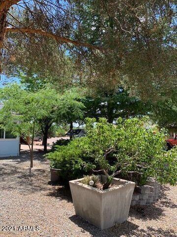 Part Of Front Yard