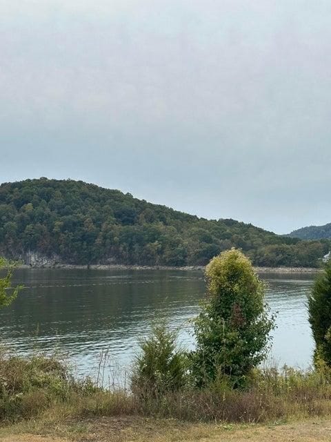 246 Boat Dock Rd, Mooresburg, TN 37811 - photo 4