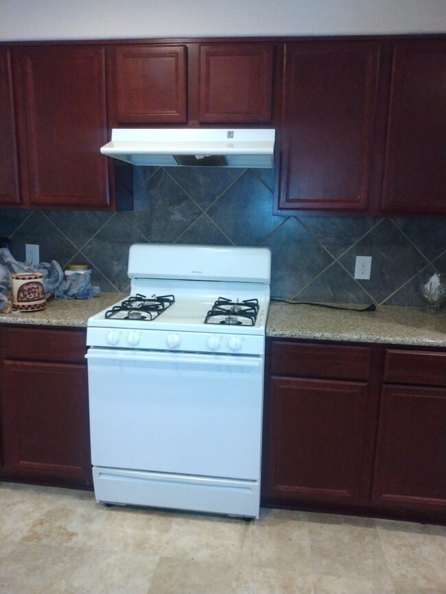 13527 W Red Birch Cir, Houston, TX 77038 - photo 6