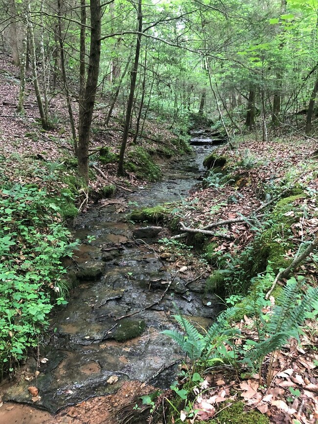 7.86 ac Waterloo Rd, Cookeville, TN 38506 - photo 3