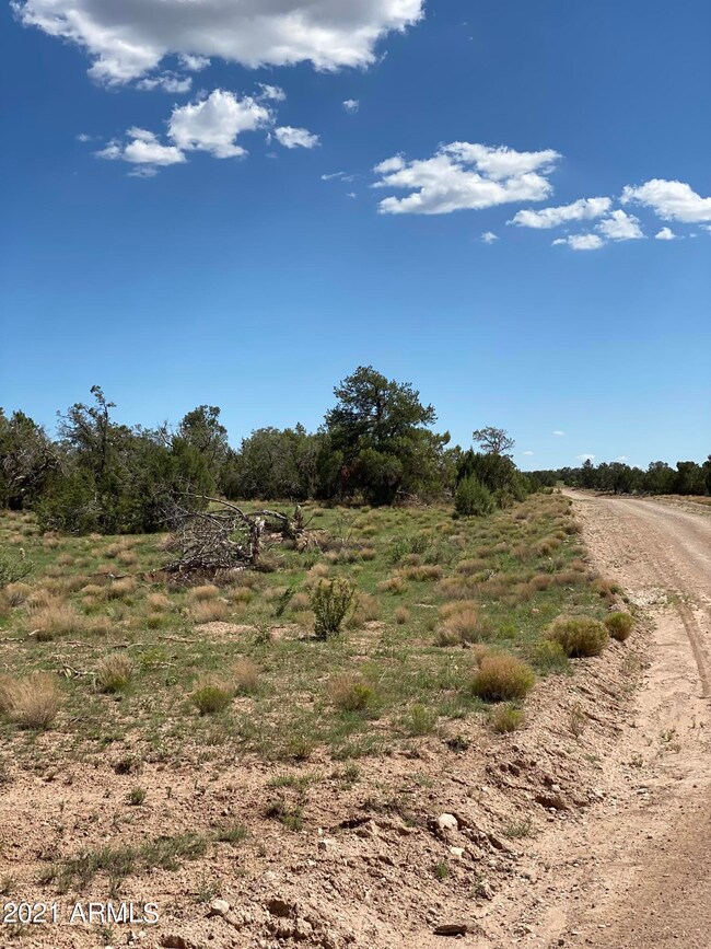 00 Markham Pass unit 1315, Seligman, AZ 86337 - photo 3