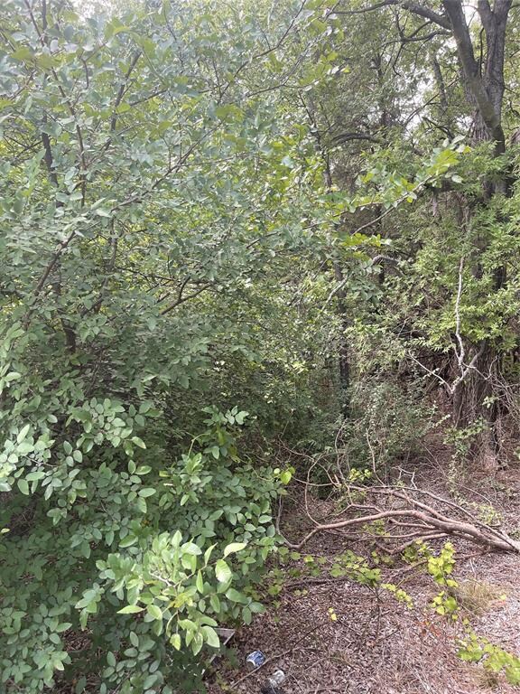 TBD Bronco Ln, Weatherford, TX 76087 - photo 4