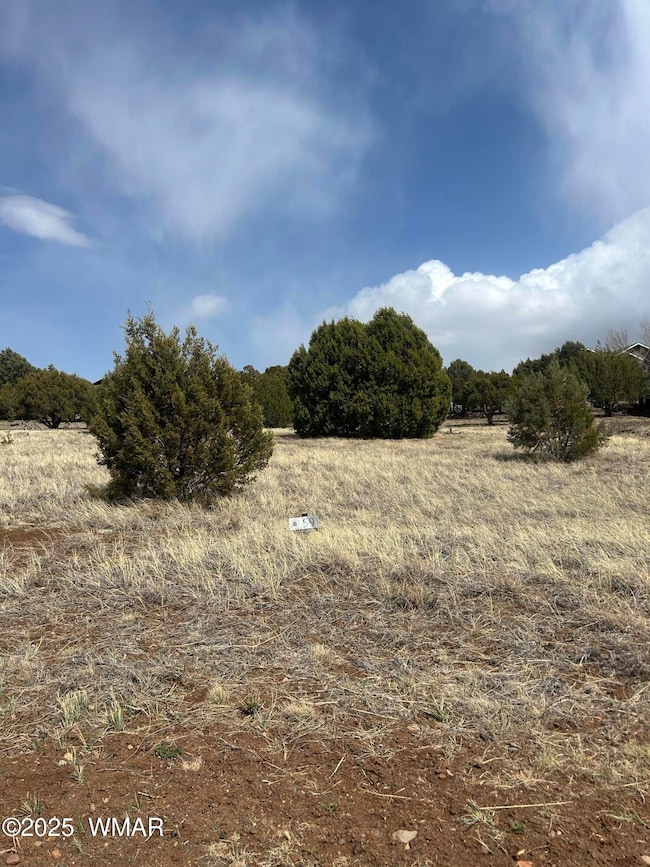 620 S Rock Ridge Dr, Show Low, AZ 85901 - photo 4