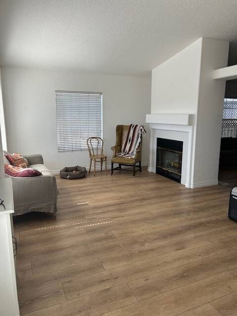 Dining room fireplace