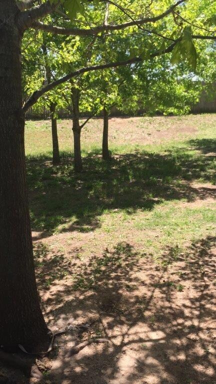 106 Water Oak Ln, Weatherford, TX 76086 - photo 2