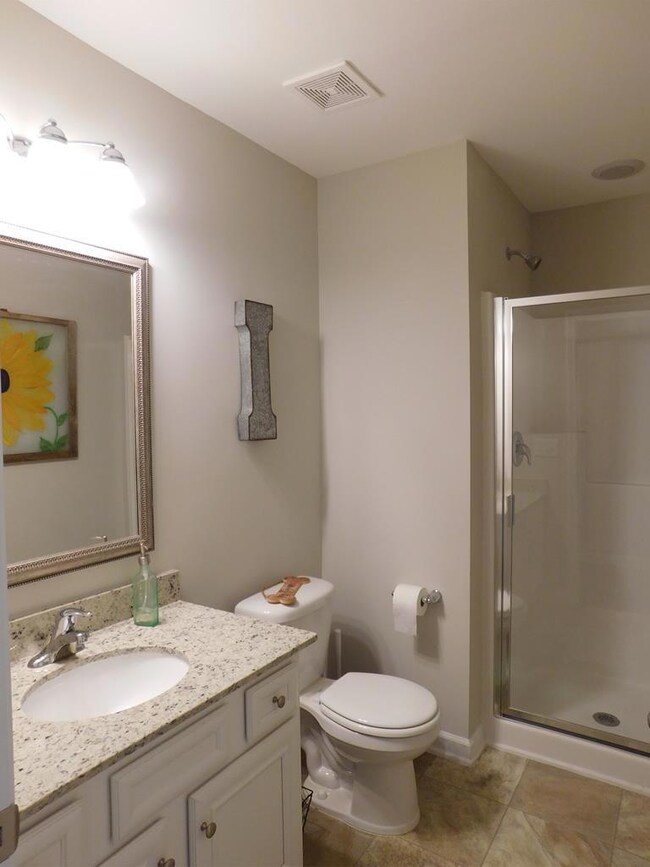 Hall Bath Downstairs