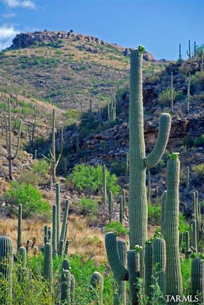 5383 N Falcon Crest Place, Tucson, AZ 85749 - photo 6