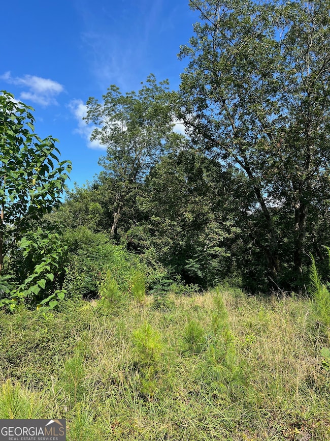 0 N Barnard Ave, Lagrange, GA 30241 - photo 2