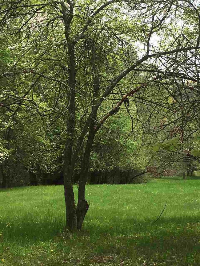 0 Cotton Mountain Rd unit Lot 2, Wolfeboro, NH 03894 - photo 6