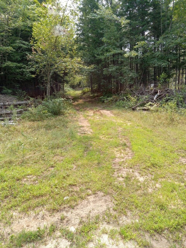image000000