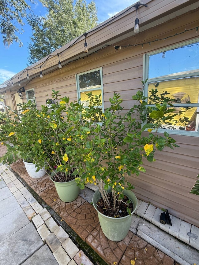 34649 Nancy St, Zephyrhills, FL 33541 - photo 2