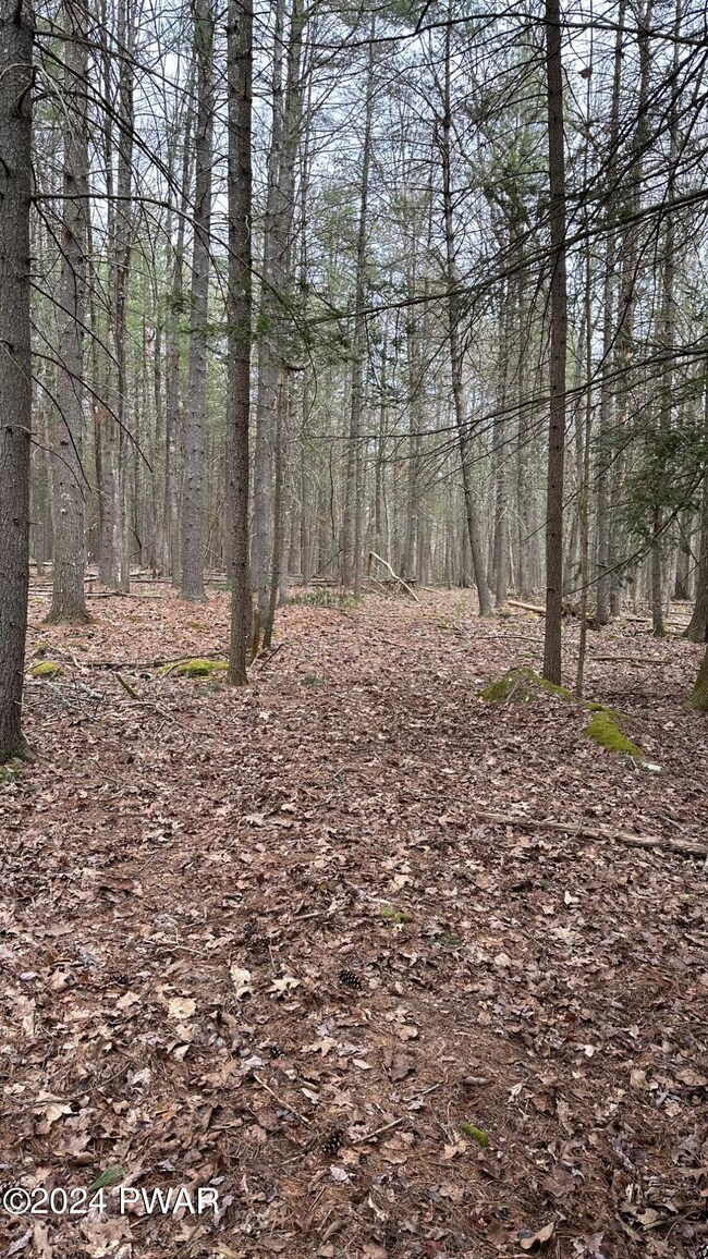 0 Long Ridge Rd unit PWBPW240661, Hawley, PA 18428 - photo 6
