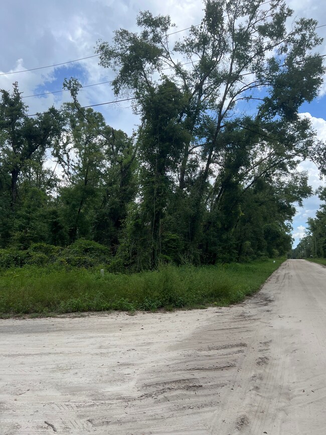 177th Road, Live Oak, FL 32060 - photo 7