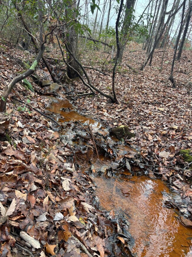 3699 Crockett Pointe, Jasper, TN 37347 - photo 6