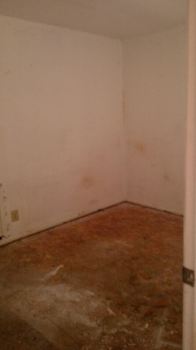 599 Albers Valley Rd, Regina, NM 87046 - photo 7