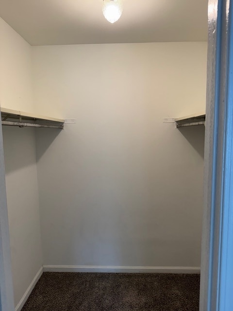 303 Newport Ln unit D1, Bartlett, IL 60103 - photo 6