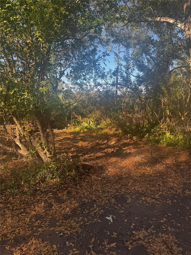 11-20 Anno St, Tampa, FL 33625 - photo 3