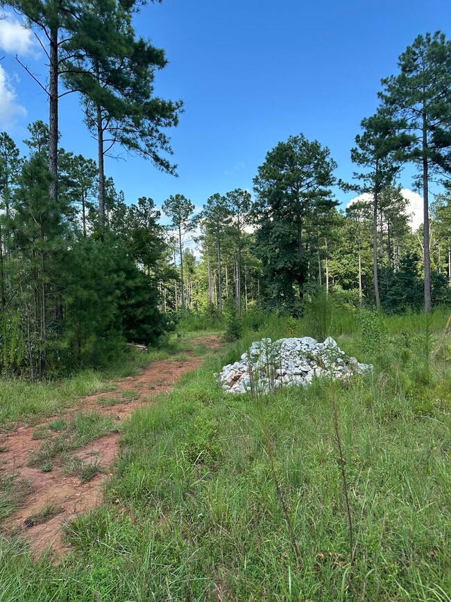 2470 Fears Rd, Madison, GA 30650 - photo 6