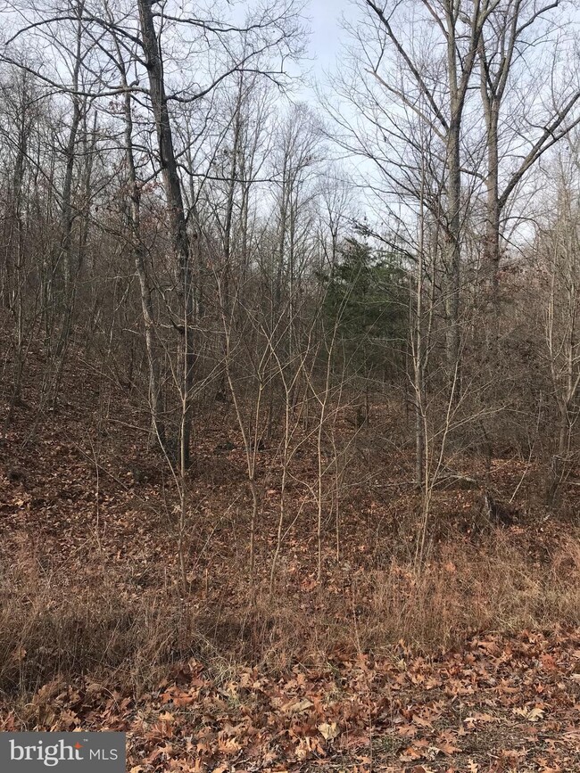 1 Roys Ln, Glengary, WV 25421 - photo 2