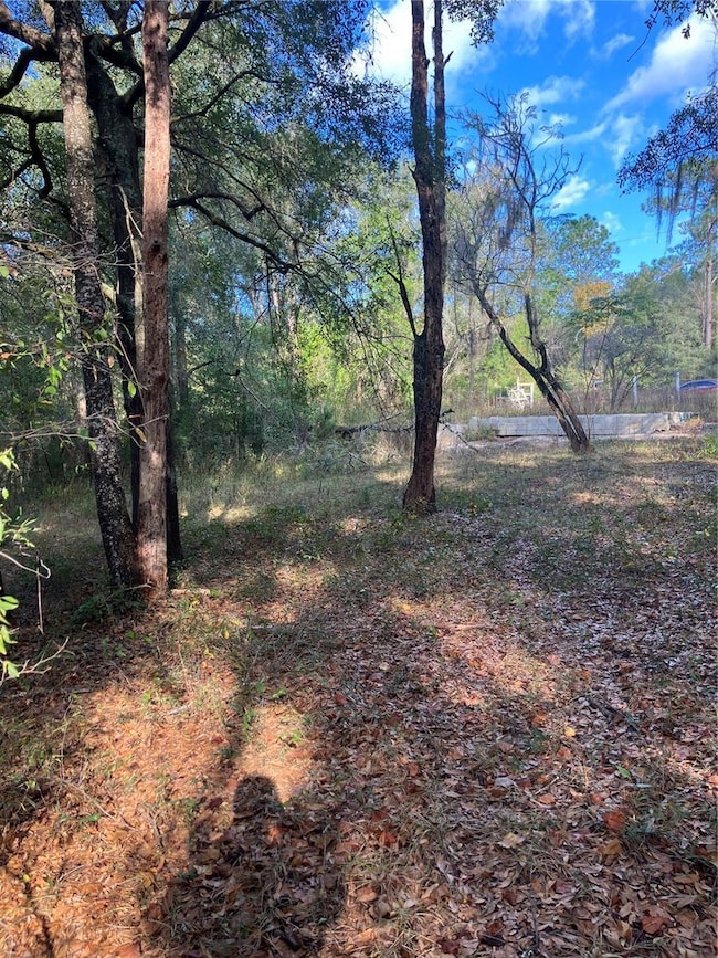 151 Duncan Ave, Interlachen, FL 32148 - photo 7