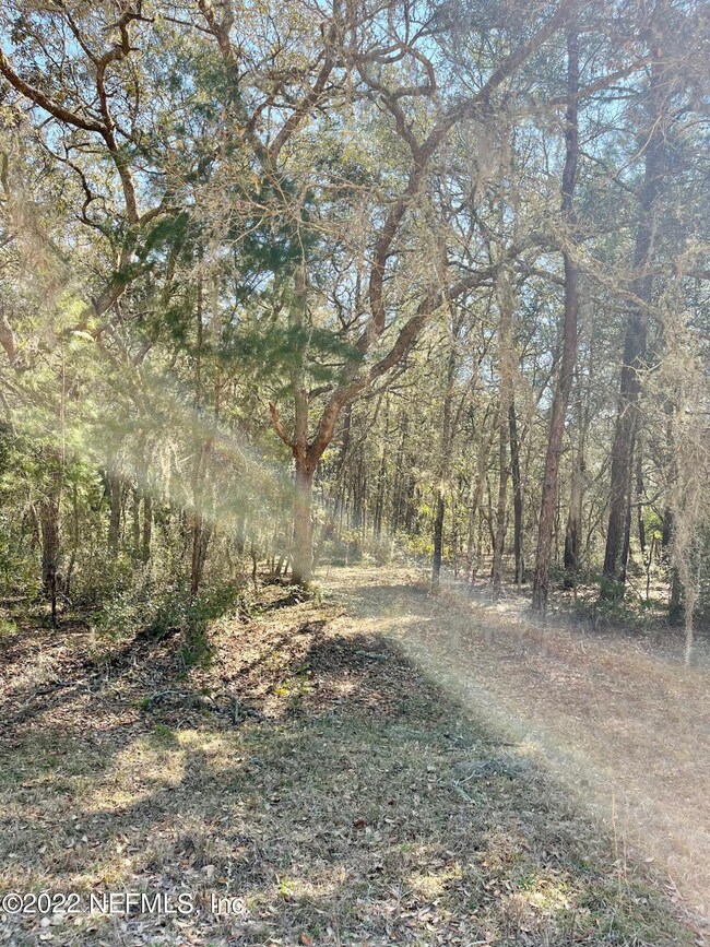 0 Usina unit 1159344, Interlachen, FL 32148 - photo 4