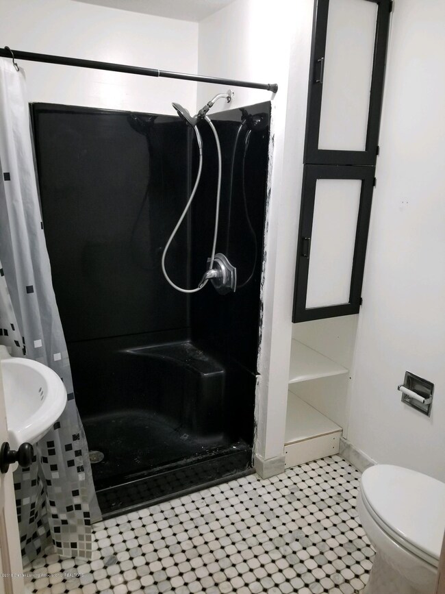 829 Seymour Ave, Lansing, MI 48906 - photo 7