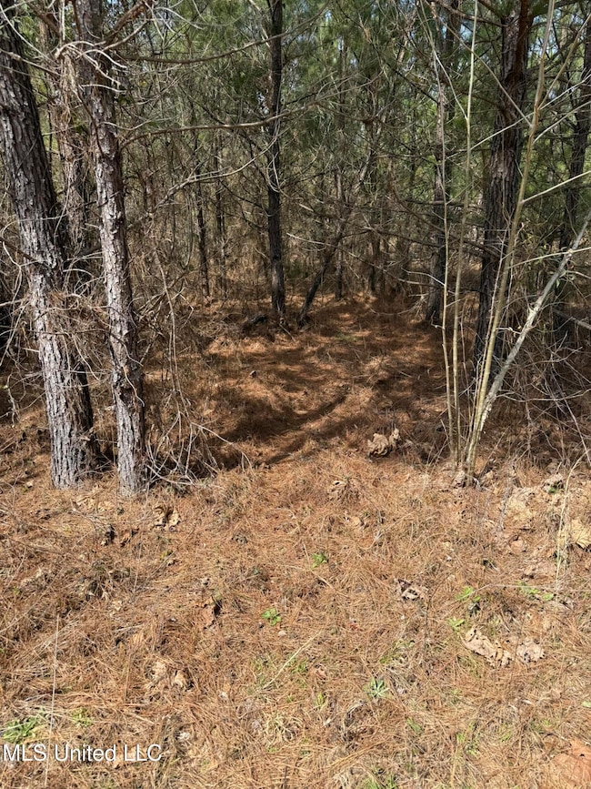 0 Clyde Evans Rd, Newton, MS 39345 - photo 5