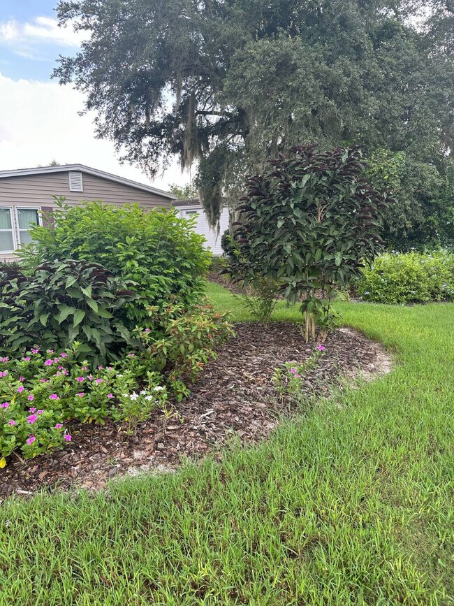 4143 Bald Cypress Dr, Deland, FL 32724 - photo 5