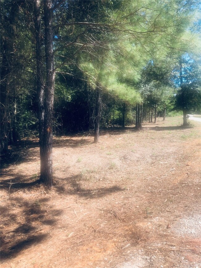 28323 Joseph Rd, Hockley, TX 77447 - photo 2