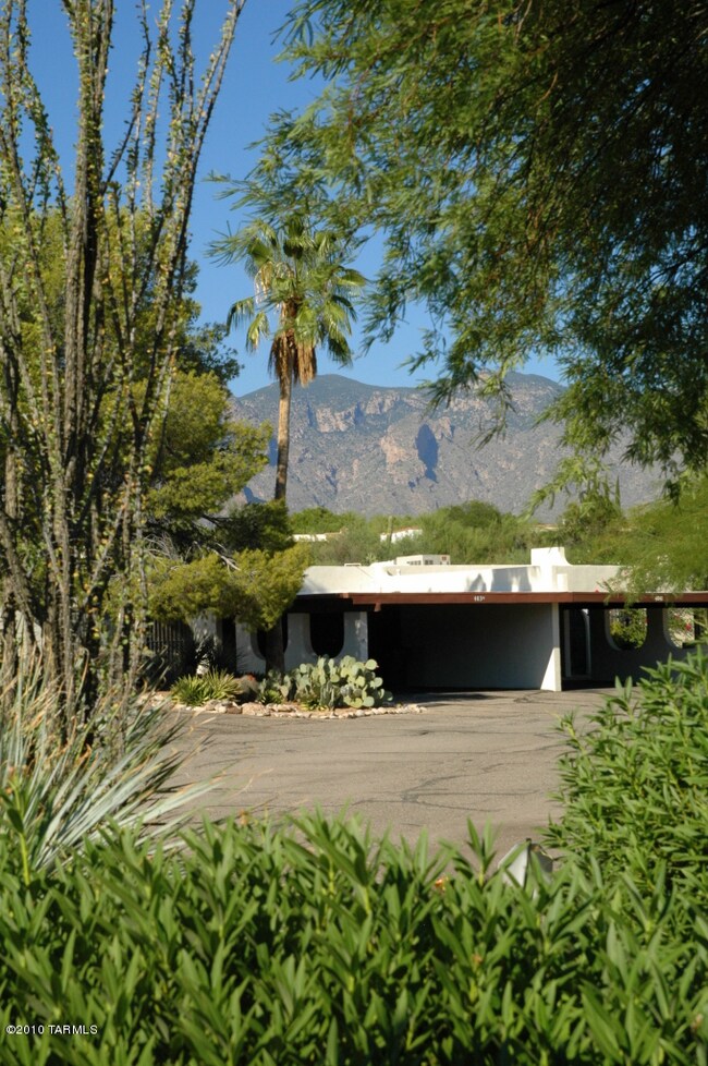 Mountain View from front yard