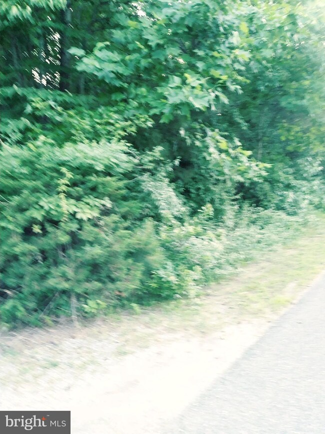 0 Kitchen Dr unit 1001889962, King George, VA 22485 - photo 4