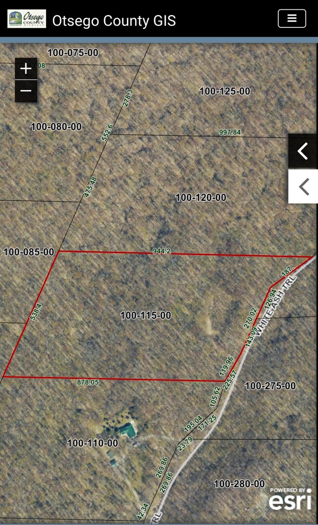 11234 White Ash Trail, Vanderbilt, MI 49795 - photo 7