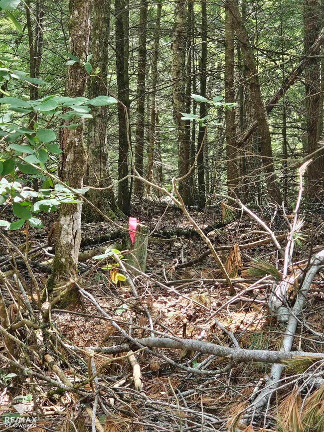 0 Spile Dam Rd unit 50182643, Millersburg, MI 49759 - photo 5